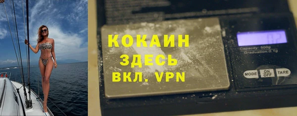 молекула духа Белоозёрский
