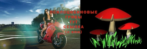молекула духа Белоозёрский