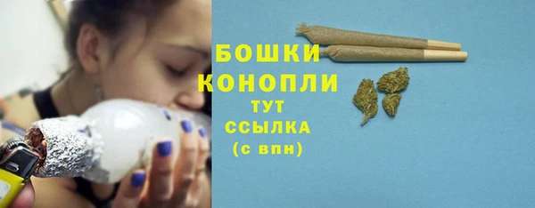 молекула духа Белоозёрский