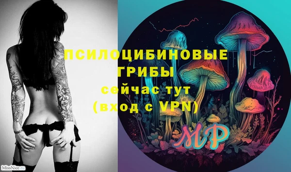 дживик Богданович