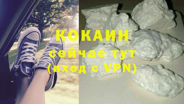 дживик Богданович