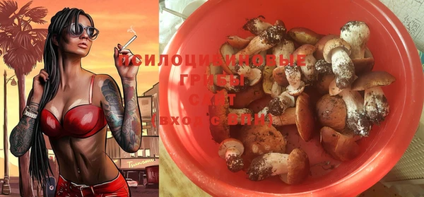 молекула духа Белоозёрский
