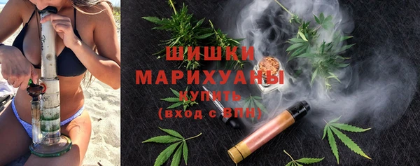 молекула духа Белоозёрский