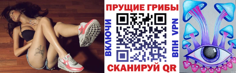 это официальный сайт Светлогорск Псилоцибиновые грибы MAGIC MUSHROOMS как найти